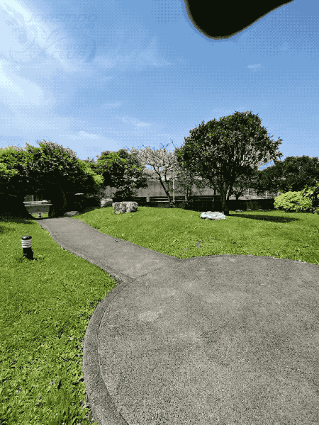 DJI Avata 360 全景空拍機開箱體驗：隨意翱翔也能拍得超好看7835|DJI Avata 360,DJI,Avata 360,空拍機,實測,評測小老婆汽機車資訊網