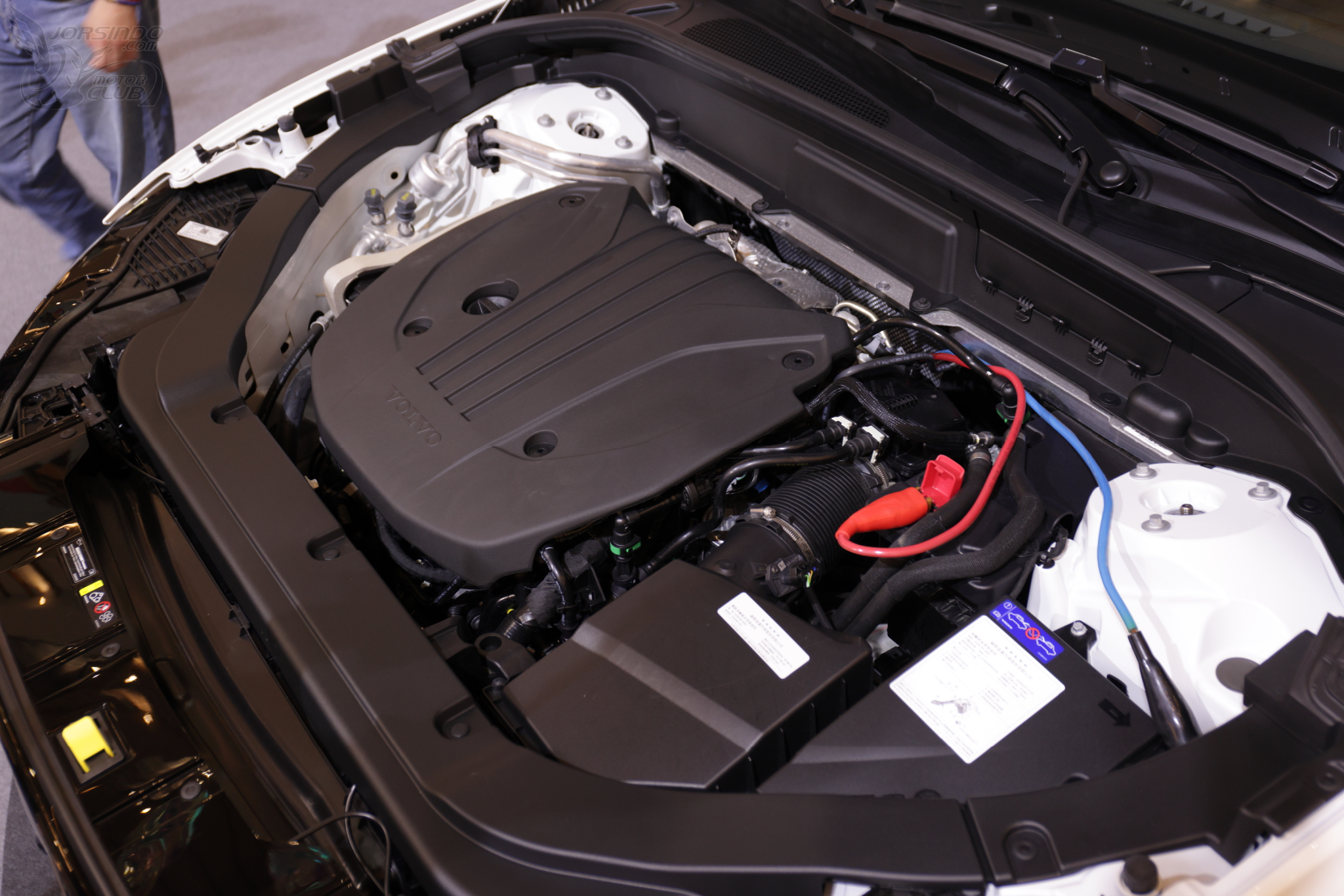 經典再進化！Volvo XC60 在台上市，豪華配備「一步到位」2365|Volvo XC60,Volvo小老婆汽機車資訊網