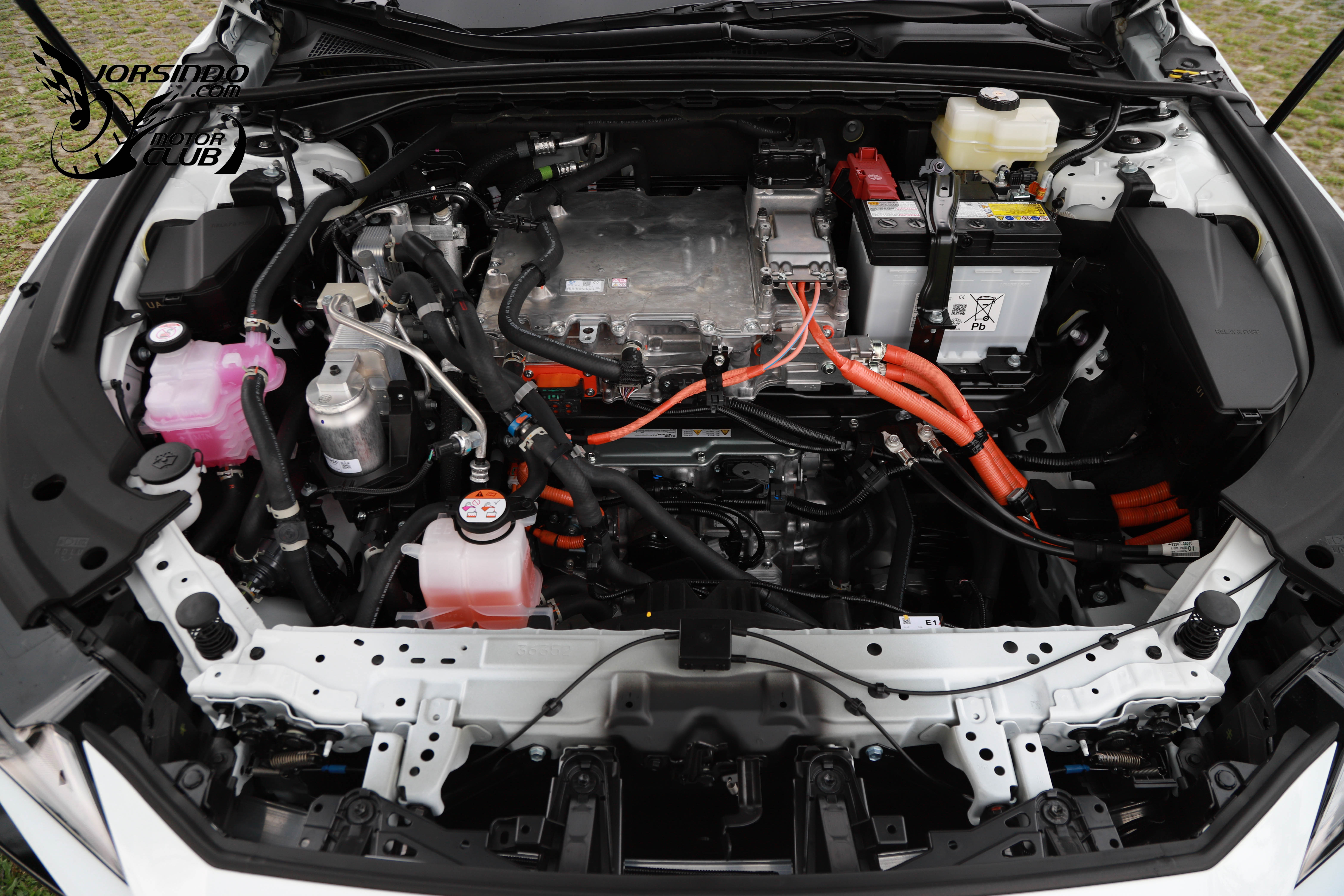 油電、純電共四車型等級！Lexus大改款ES 177萬起國內上市3590|小老婆汽機車資訊網