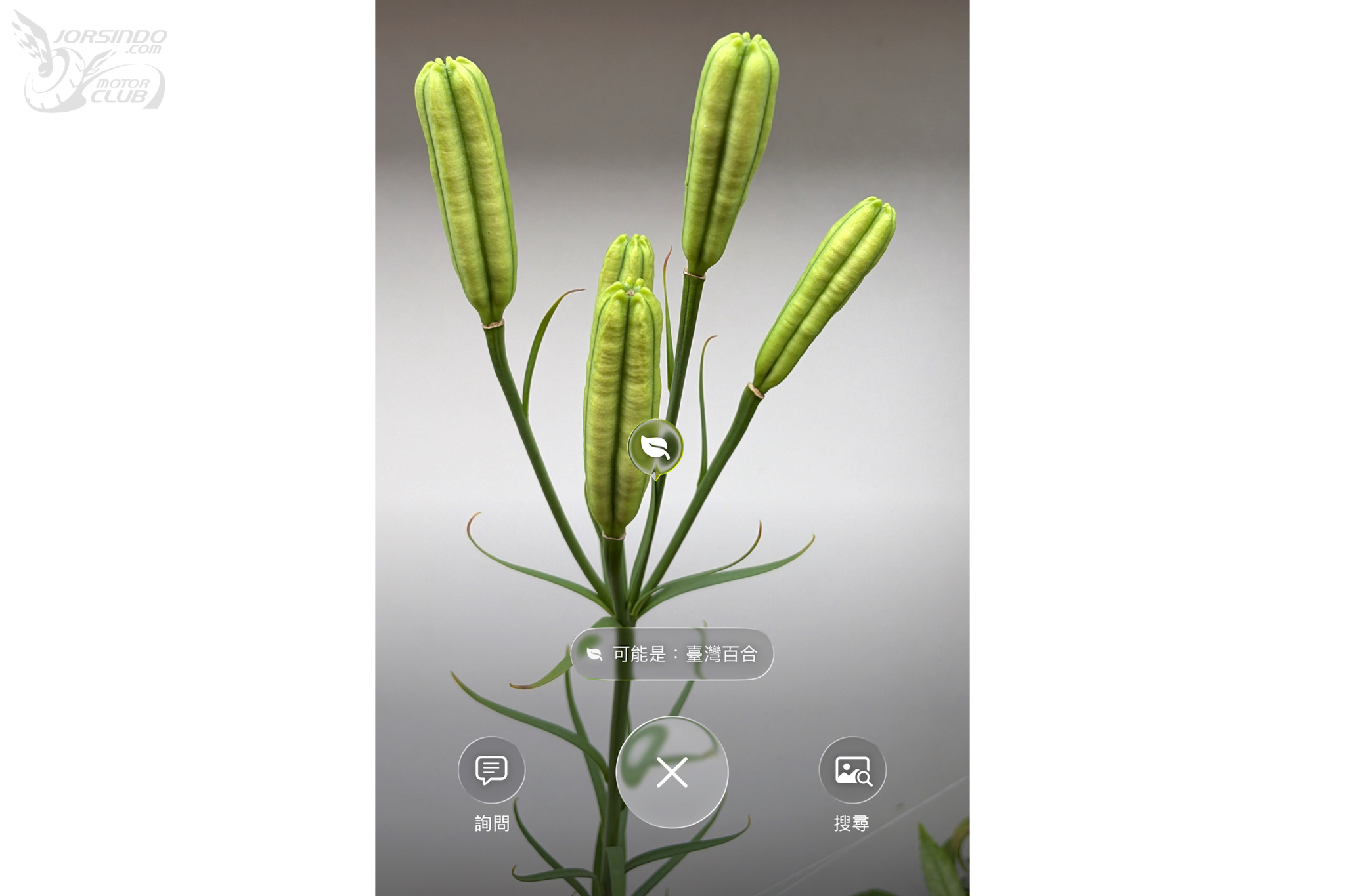 iPhone 相機全面接納 AI 技術？傳相機 App 將新增「Siri 模式」7369|Siri,Siri 模式 Apple,蘋果,iOS 27,iOS,Apple Intelligence,Visual Intelligence小老婆汽機車資訊網