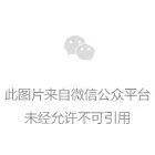 [大陆车讯]赛事资讯｜QJMOTOR勒芒赛道出圈，以赛促研见成效2064|小老婆汽機車資訊網
