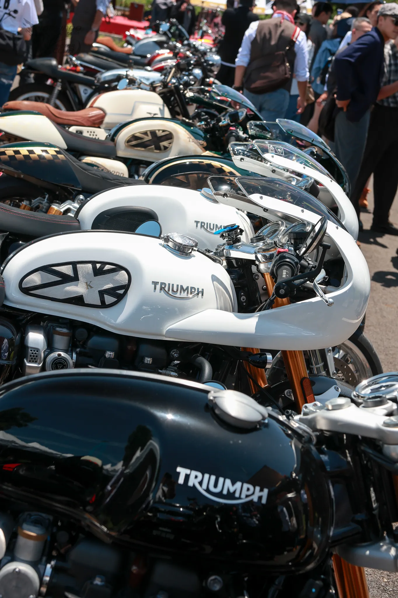 穿西裝騎重機！2026 DGR 紳士路騎開跑 規模更勝過往31|小老婆汽機車資訊網