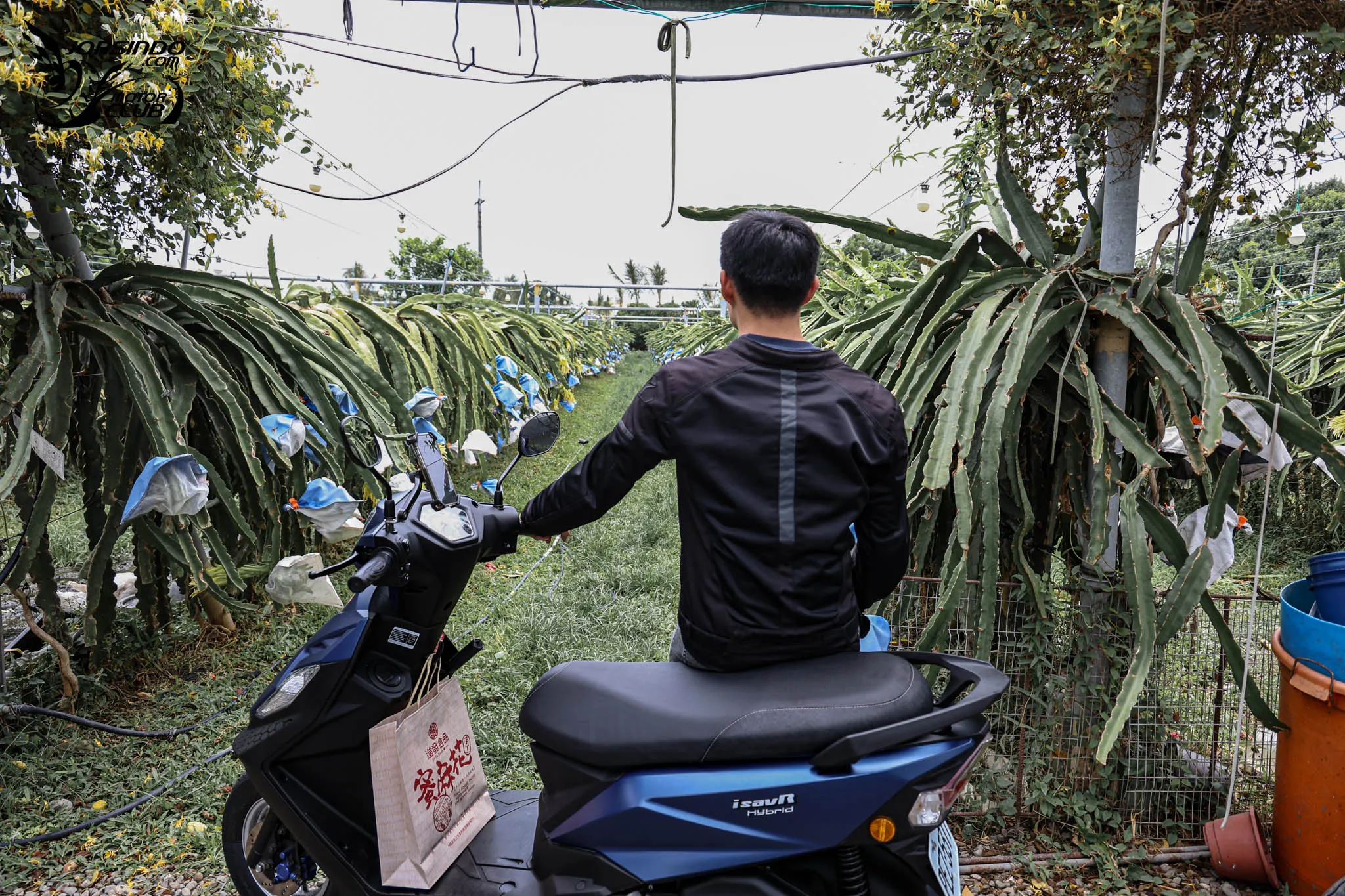 60,900 元起！PGO 威力 125 流光鈦、復古藍新色發表2576|小老婆汽機車資訊網