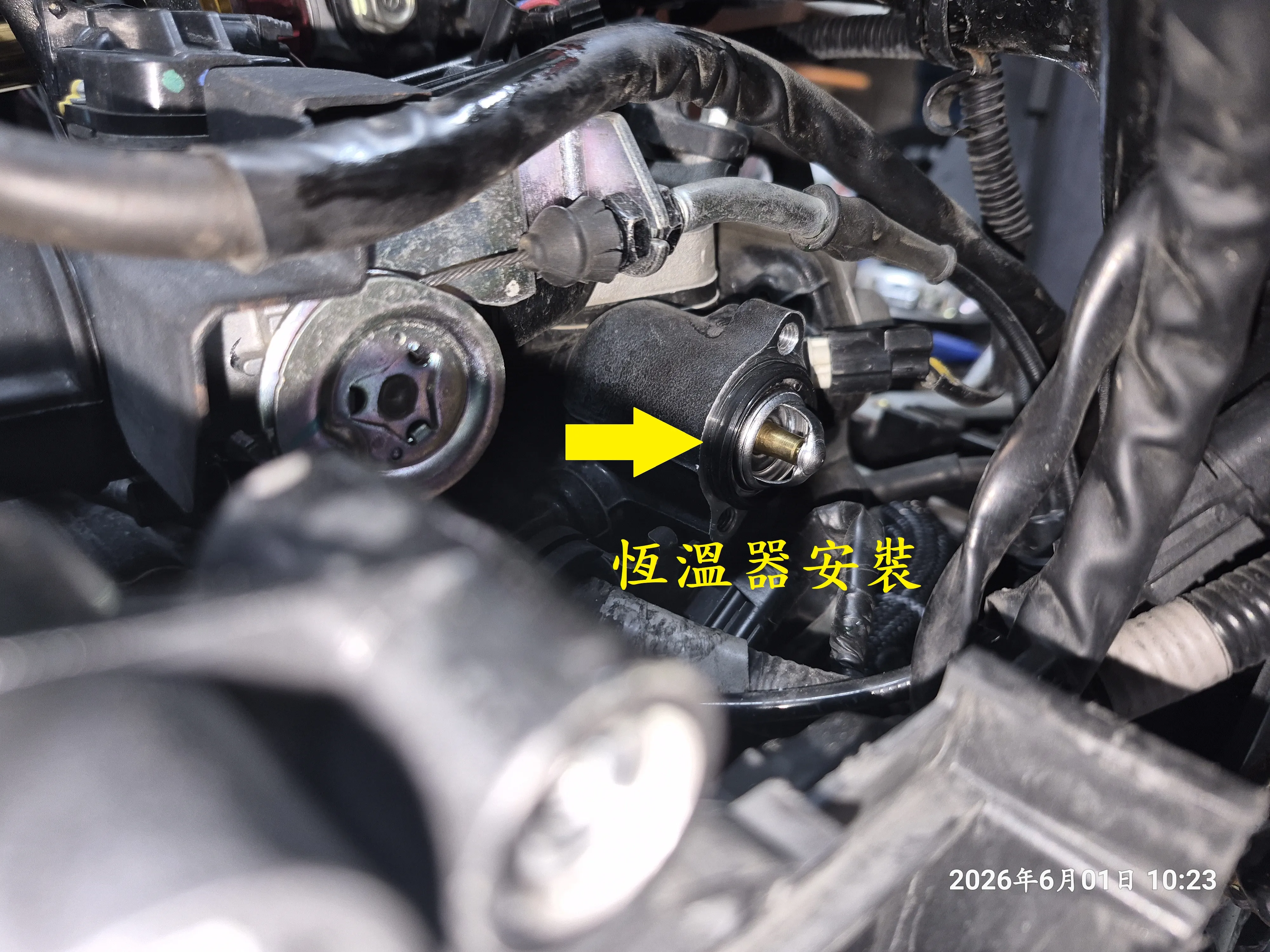 T-407-A1曼巴水系統散熱預防性更新9872|小老婆汽機車資訊網