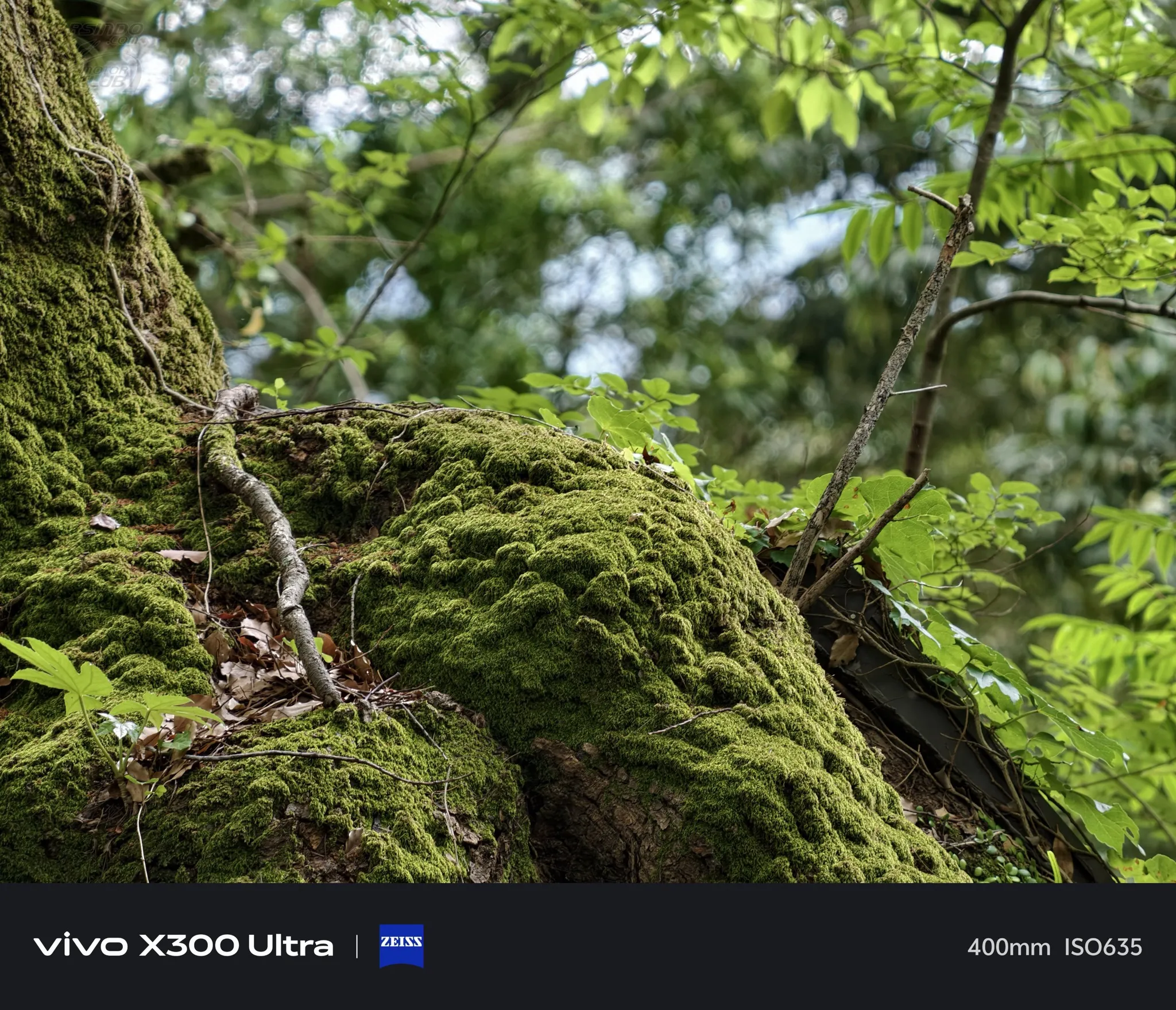 vivo X300 Ultra「隨身 400 砲」日本旅拍初試：大砲隨身帶的超高爽度1120|小老婆汽機車資訊網