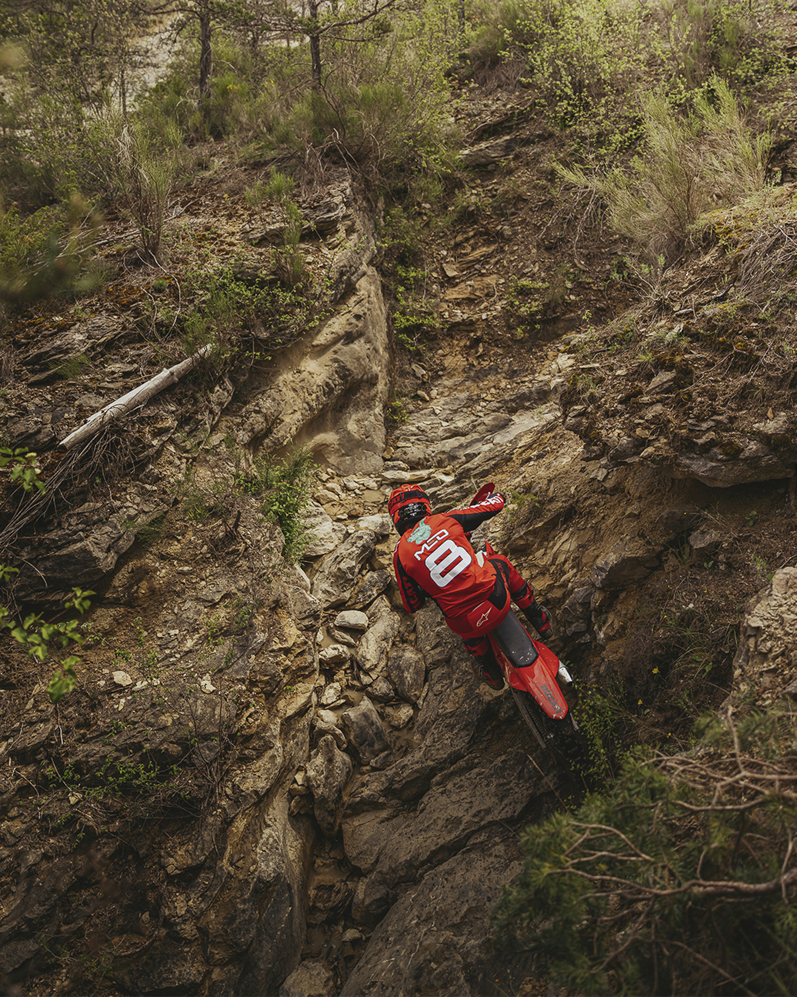 進軍 Enduro 領域！Ducati 首台可掛牌越野車 Desmo 450 EDS 發表165|小老婆汽機車資訊網