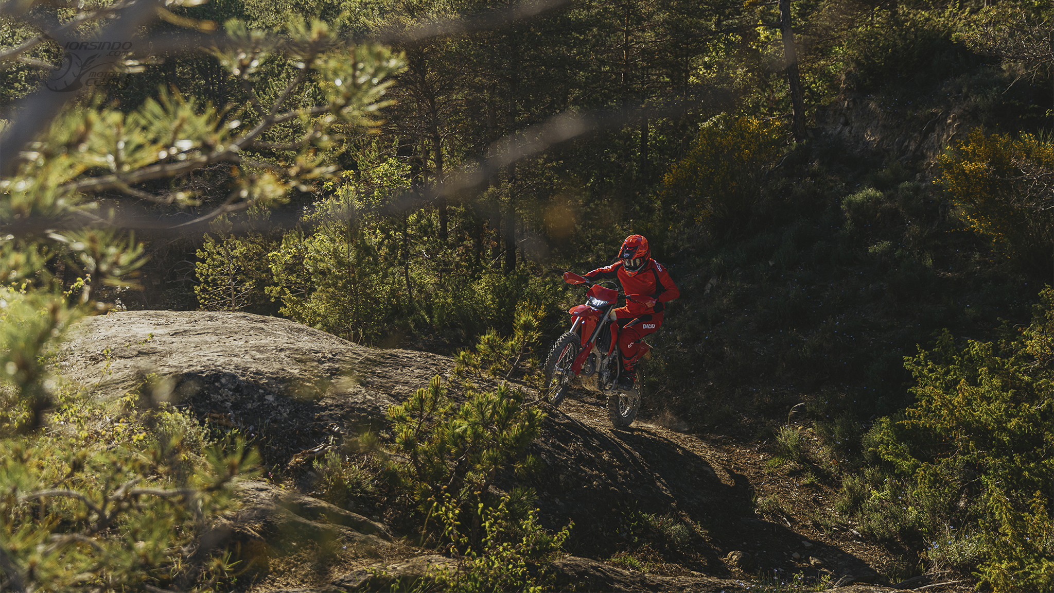 進軍 Enduro 領域！Ducati 首台可掛牌越野車 Desmo 450 EDS 發表7829|小老婆汽機車資訊網