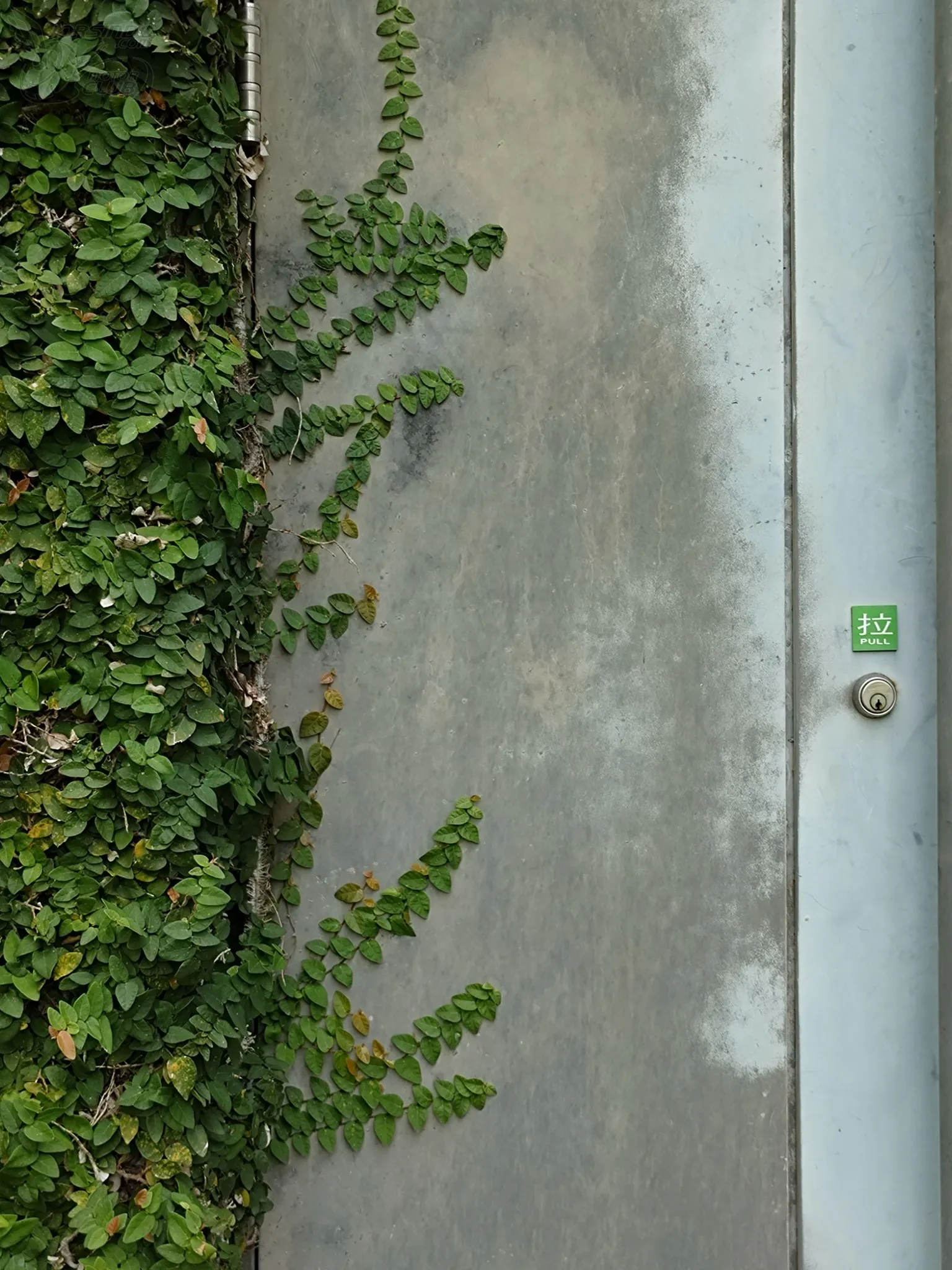 Sony Xperia 10 VIII 開箱體驗：融入半透美學「一鍵啟動」簡約數位生活3938|Sony小老婆汽機車資訊網