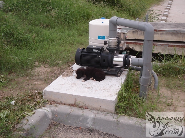 台南都會公園...偷偷溜進去6718|小老婆汽機車資訊網