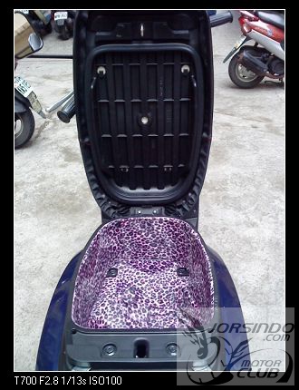『New CUXi 換 豹紋內衣』8800|小老婆汽機車資訊網